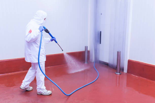 Best Driveway Pressure Washing  in Covington, LA