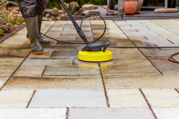 Best Animal Enclosure Cleaning  in Covington, LA
